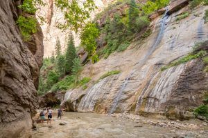 Visitar Zion National Park · Qué ver · Consejos