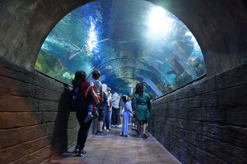 Malta National Aquarium