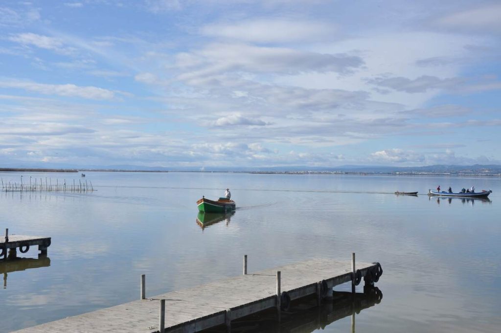 Qué ver cerca de Valencia. Albufera