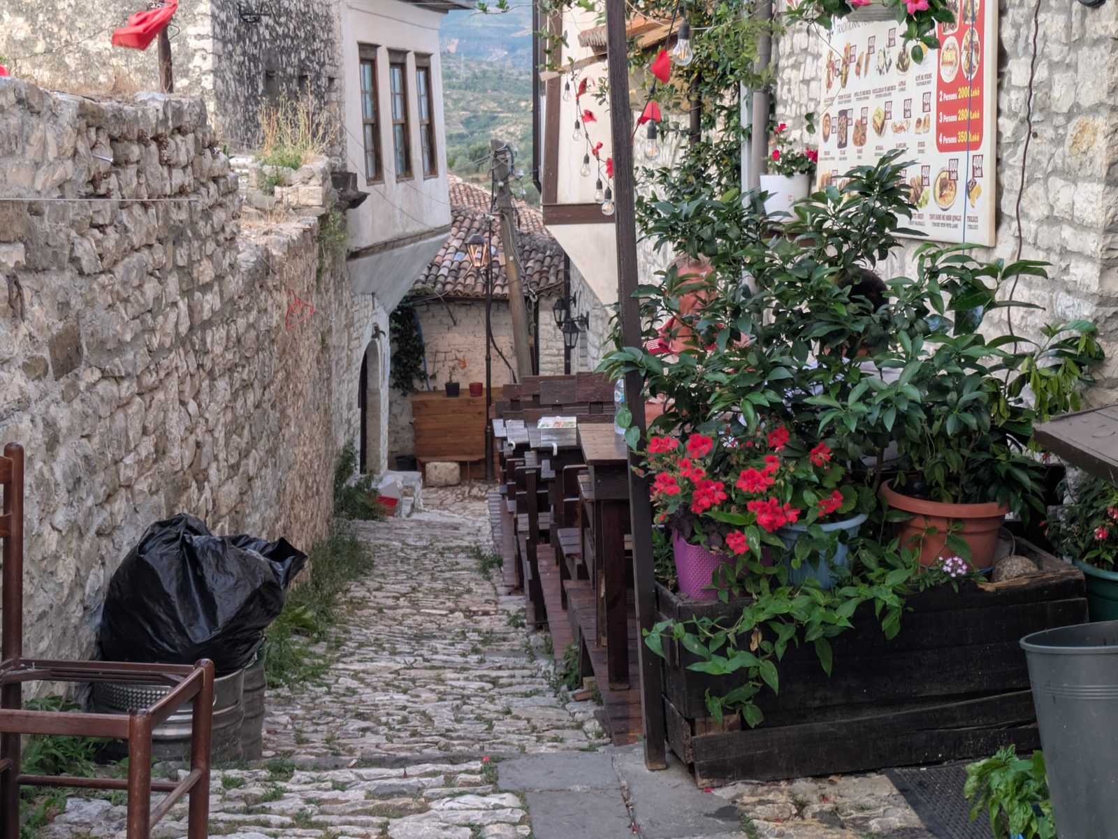 Callejón empedrado dentro de la ciudadela de Berat con plantas, flores y tiendas