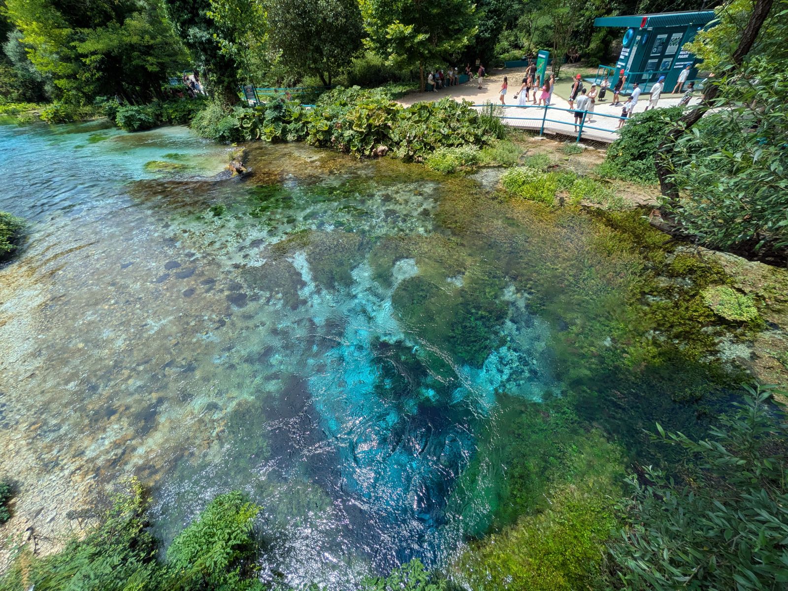 Poza del Blue Eye o Syri i Kaltër con el agua azul intenso brotando del fondo