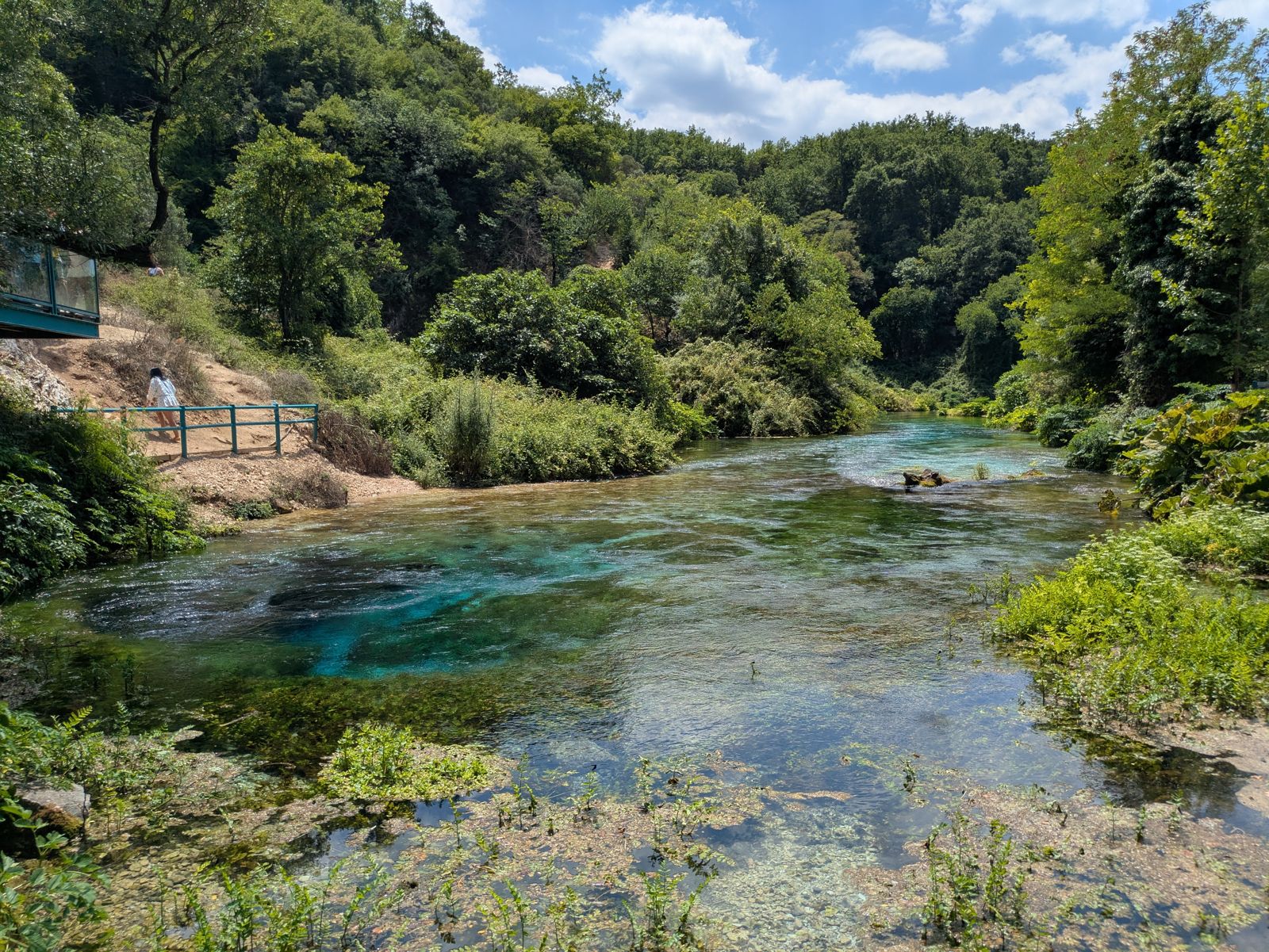 Río Bistricë naciendo del Blue Eye entre vegetación