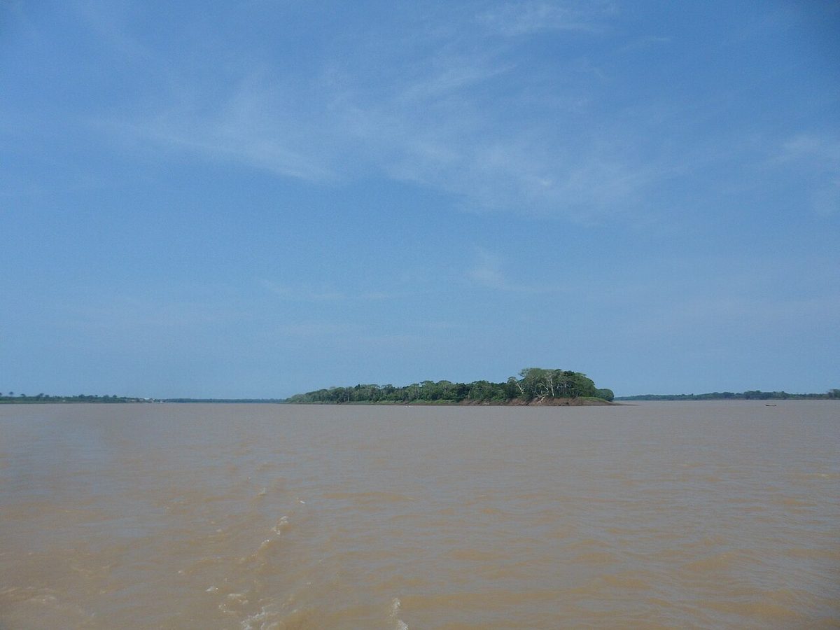 Aguas marrones del río Purús en la Amazonía brasileña