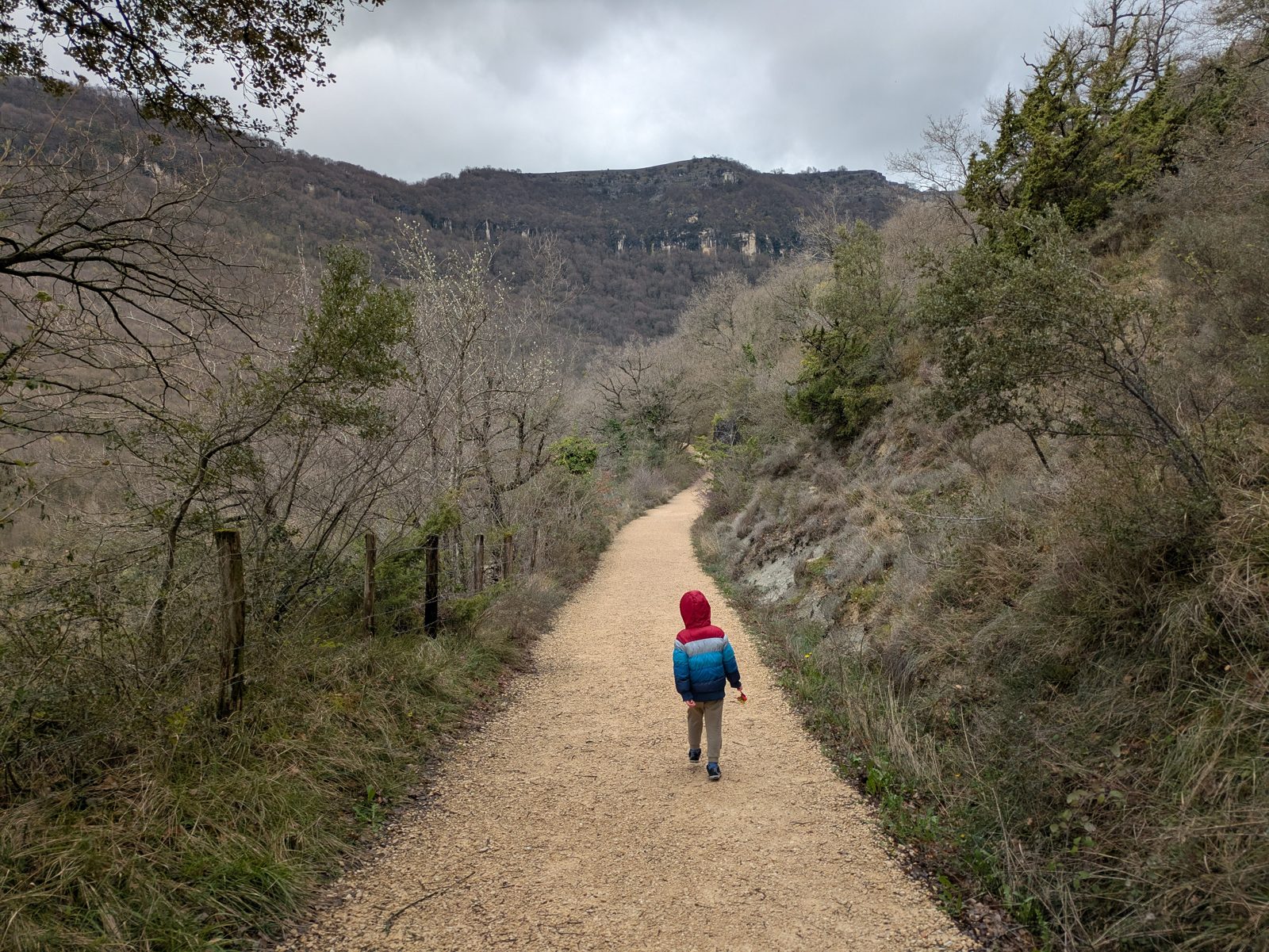 Camino de la ruta del Urederra entre árboles, con el valle de Améscoa al fondo